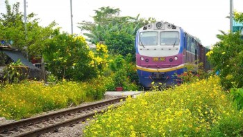 Cách Đi Từ Sài Gòn Đến Phú Quý Bằng Tàu Hỏa Qua Ga Phan Thiết